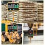 BRAND NEW EU Industrial Digital Crane Scale 2000kg/4000 lb High Precision Rechargeable with Remote Control 2T Electronic Hanging Scale Image 5