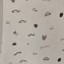 M&S Kids T-Shirt Image 3