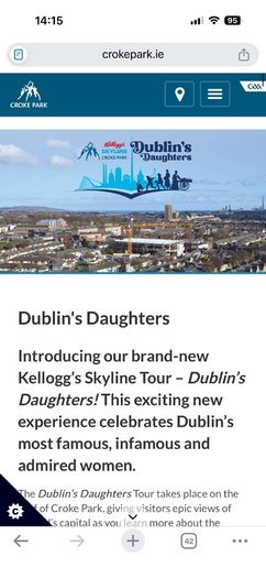 2x Kelloggs Skyline Tour  Dublins Daughters