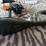 Minn Kota Endura Boat Electric 12V  Engine Brand New !!! Image 3