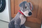 Tramp soft toy