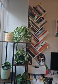 Book Shelf