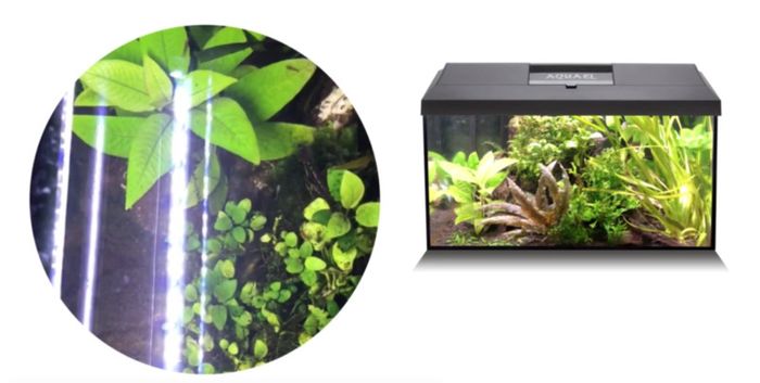 Aquael LEDDY Tube Day&Night 17W