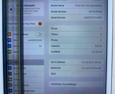 iPad Mini 5 For Repair or Parts