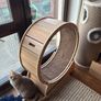 CatWheel Image 4