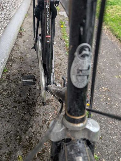 Gazelle bicycle for sale