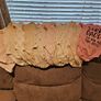 Bag of Baby girl clothes Image 2