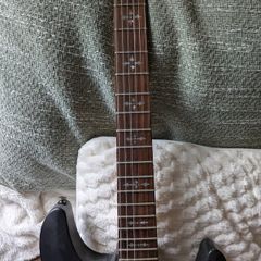 Schecter  Guitar