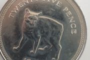 Coin