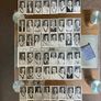 County Cricketers 1956 card collections Image 2
