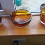 Glassnow Reuced To 60.00 Image 4