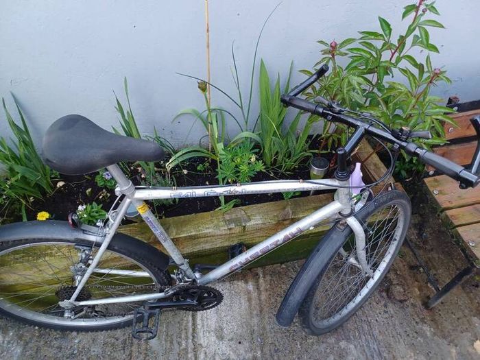 Falcon mens bike
