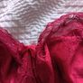 Fantasie Allegra - Underwired Side Support Bra 30F and Briefs S - Red - BNWT RRP 80 Image 5