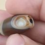Vintage Yemeni Suliemani Natural Eye Agate Bead Amulet Image 4
