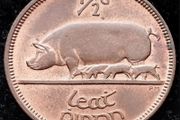 [#78] - Ireland 1965 | Irish 1/2d | Irish Half Penny | KM.10 | High Grade