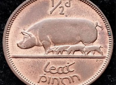 [#78] - Ireland 1965 | Irish 1/2d | Irish Half Penny | KM.10 | High Grade