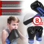 Youth Boxing Set  - Free Delivery Nationwide Image 9