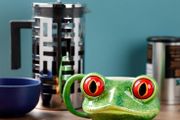 Tree Frog Head Ceramic Shaped Mug