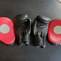 8 oz boxing gloves and pads