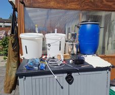 home brew