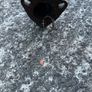 Honda Civic Exhaust Image 5