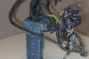 Predator Avp