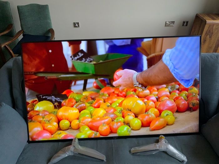 Sony Bravia 55in TV model KD-55XF8796 ultra HD