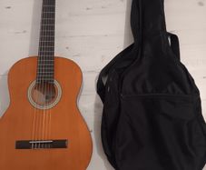Guitar