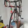 GIANT LIV AVAIL Compact Road Bike Shimano Sora Image 2