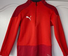 Red/chilli pepper Puma Kids Goal 22 1/4 zip training top (5-6 years)