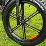 Fiido Titan E-bike Image 8
