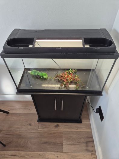 Fish Tank and cabinet