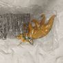 Schleich Dinosaur Triceratops limited edition - Brand New Image 2