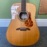 Alvarez MD60EBG - With Hiscox Case and LR Baggs Pickup Image 4
