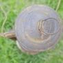 Vintage Hurricane Oil Lamp ,Paraffin Storm Lantern (garden decoration) Image 7
