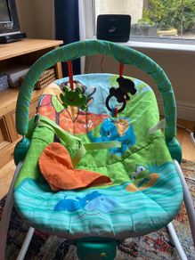 FREE: Baby Bouncer