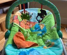FREE: Baby Bouncer