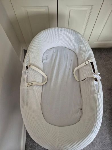 Moses basket