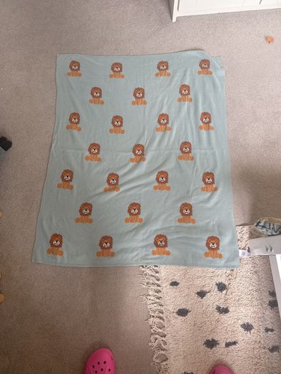 lion blanket