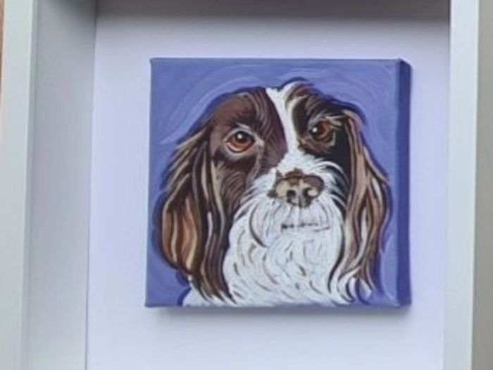 Pet Portraits