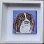 Pet Portraits Image 7