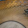 Lampshade Image 4