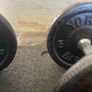 Body Building Image 7