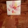 Lp Diana Ross Double Lp Thank You Image 2