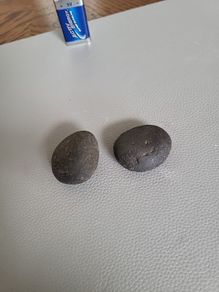 Tektites Indonesian