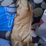 zelda costume 150cm Image 3