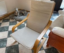 Ikea Chair
