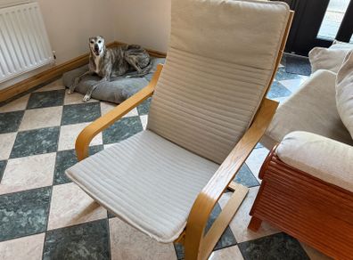 Ikea Chair