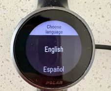 Polar Vantage 2
