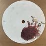 RJD2 Exotic Talk Clear Vinyl Image 4